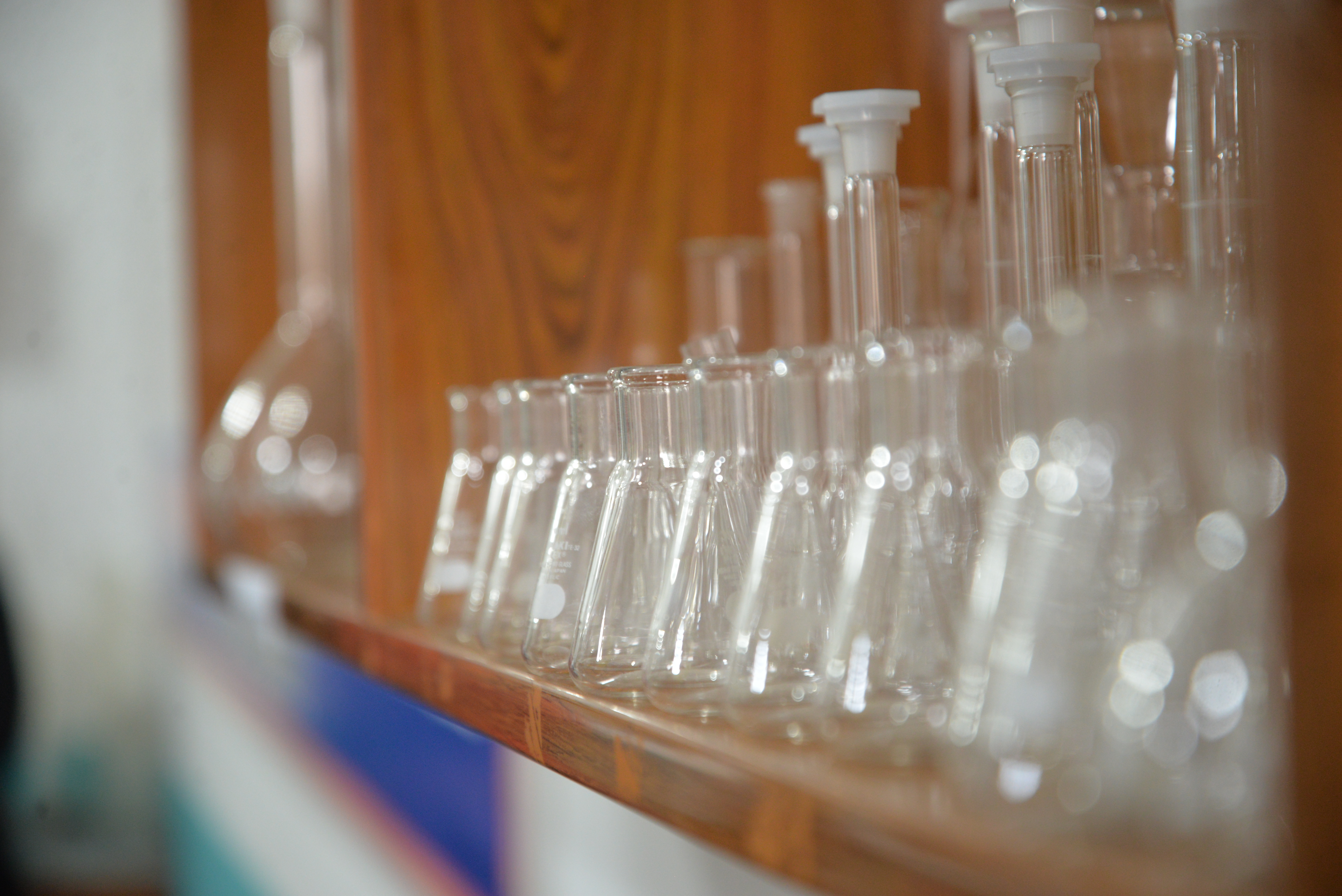 MLT Lab 1